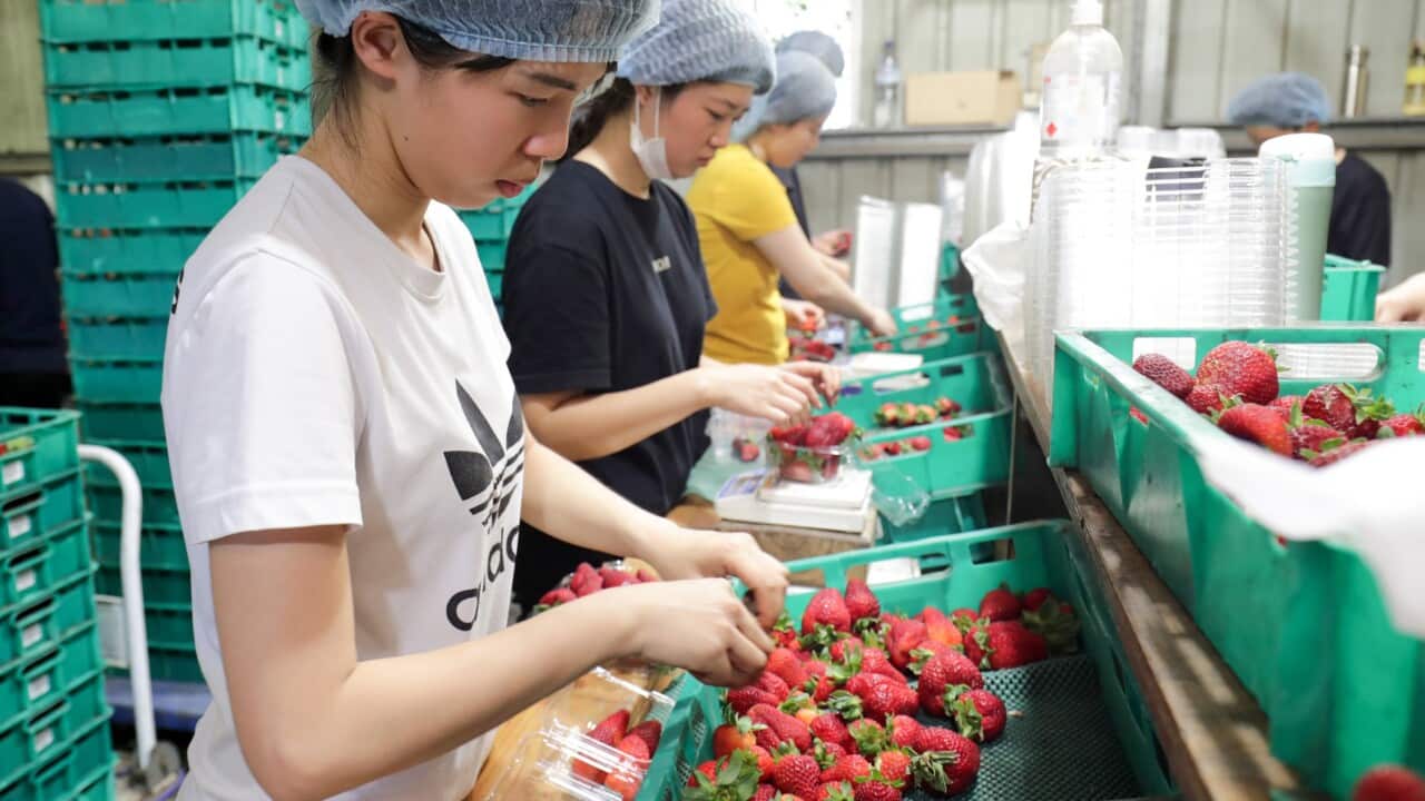 Image for read more article ''