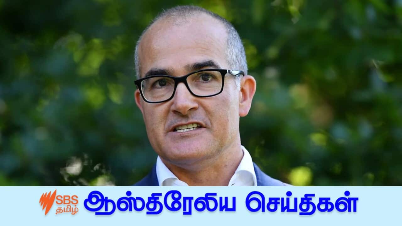 AAP