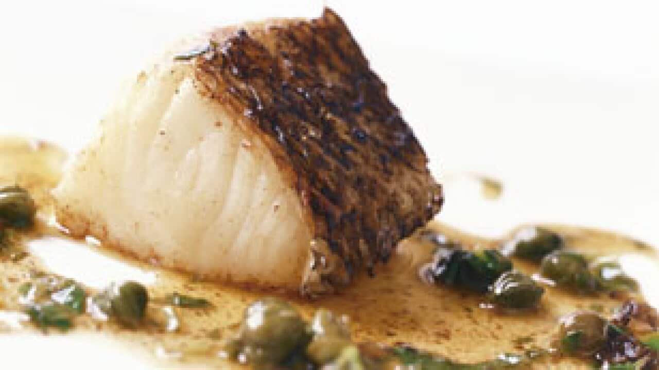 Fish_596483504