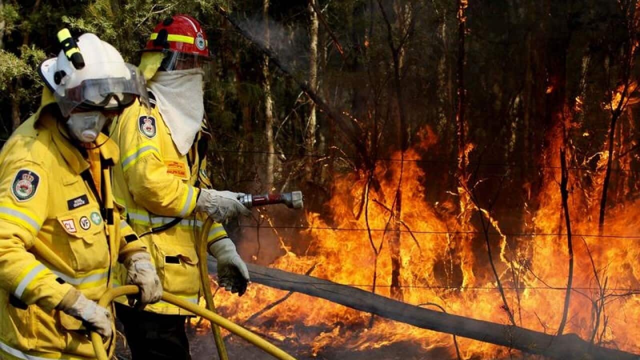 RFS crew members fight a fire (file image)