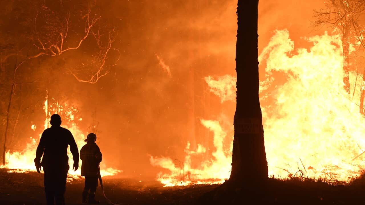 Image for read more article 'READ MORE'