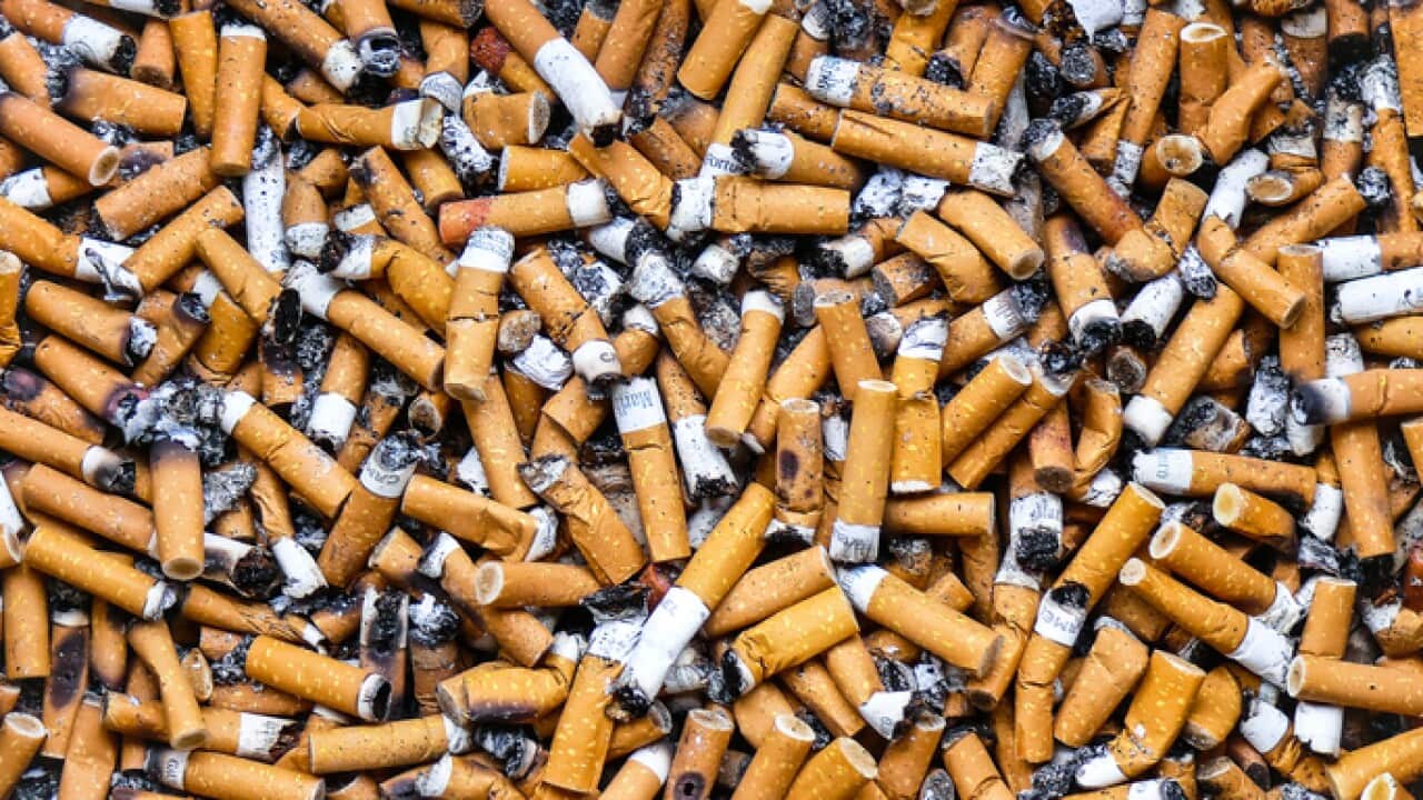 Cigarette butts.