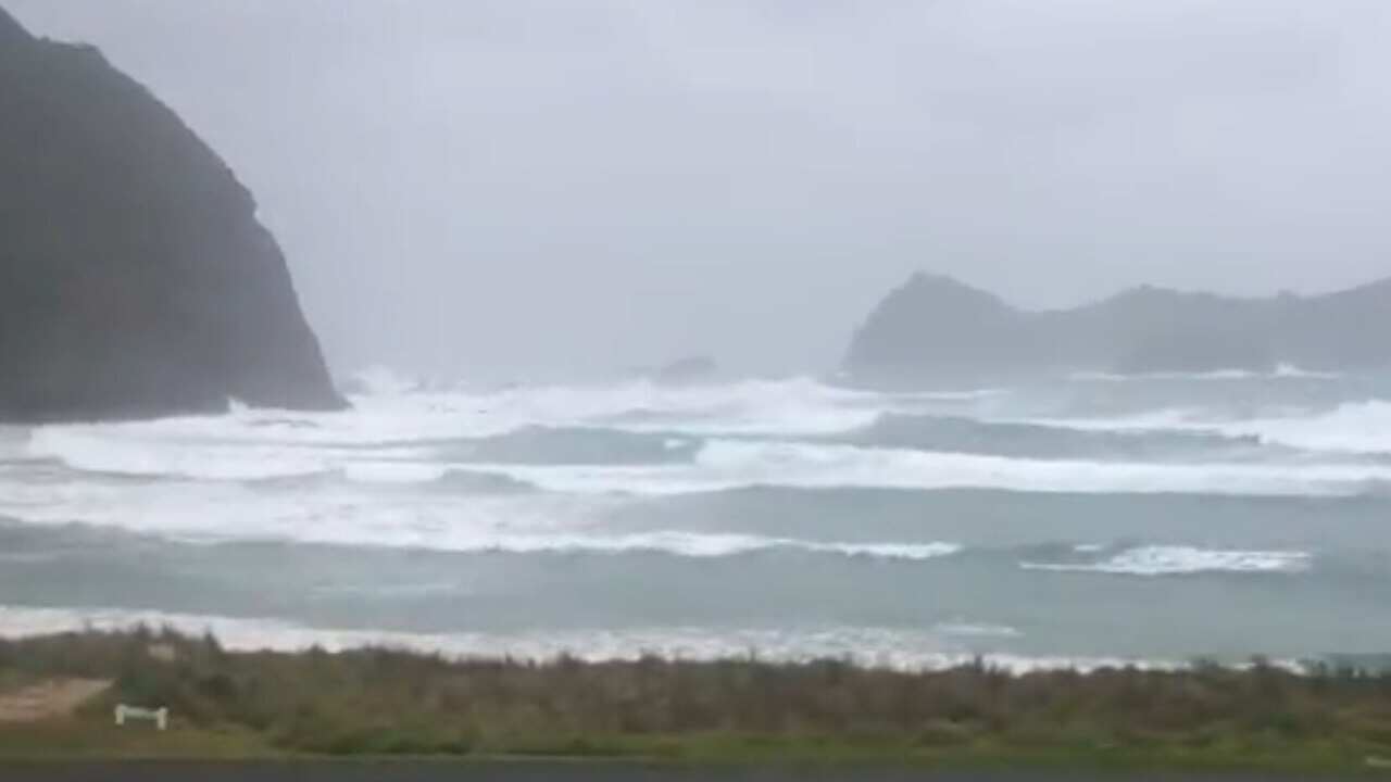 Lord Howe Island on Thursday afternoon.