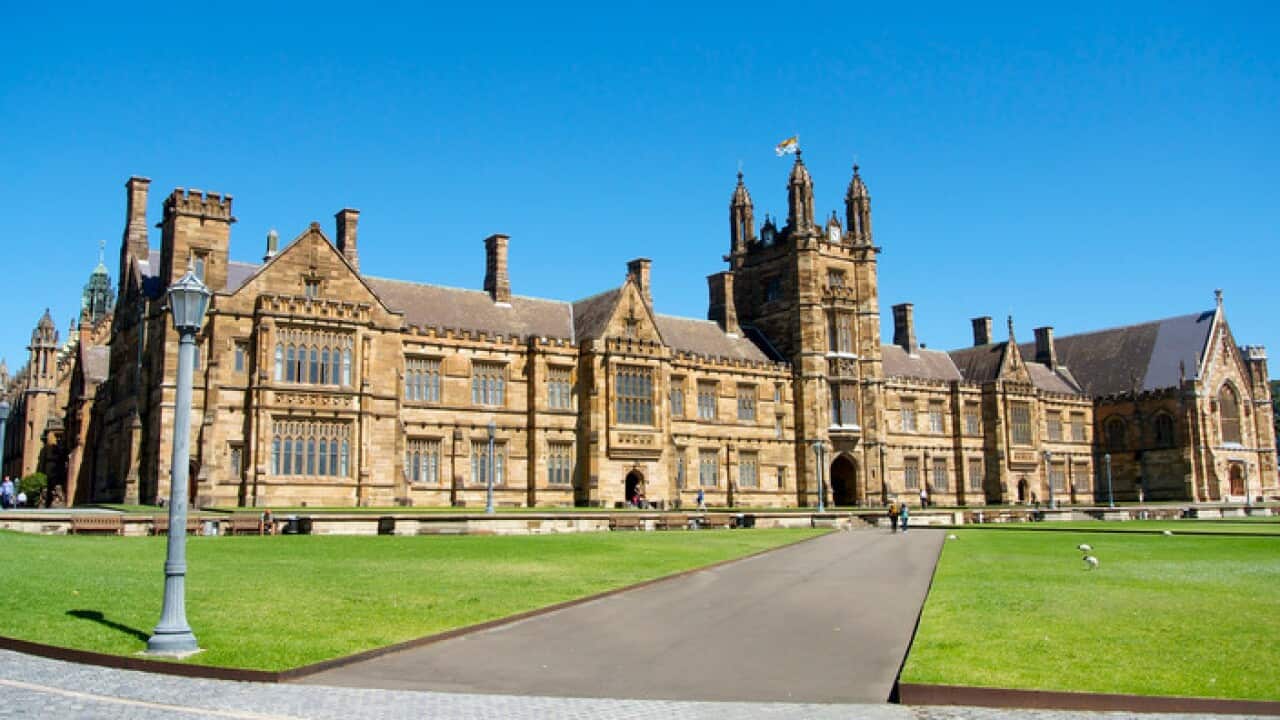 University of Sydney