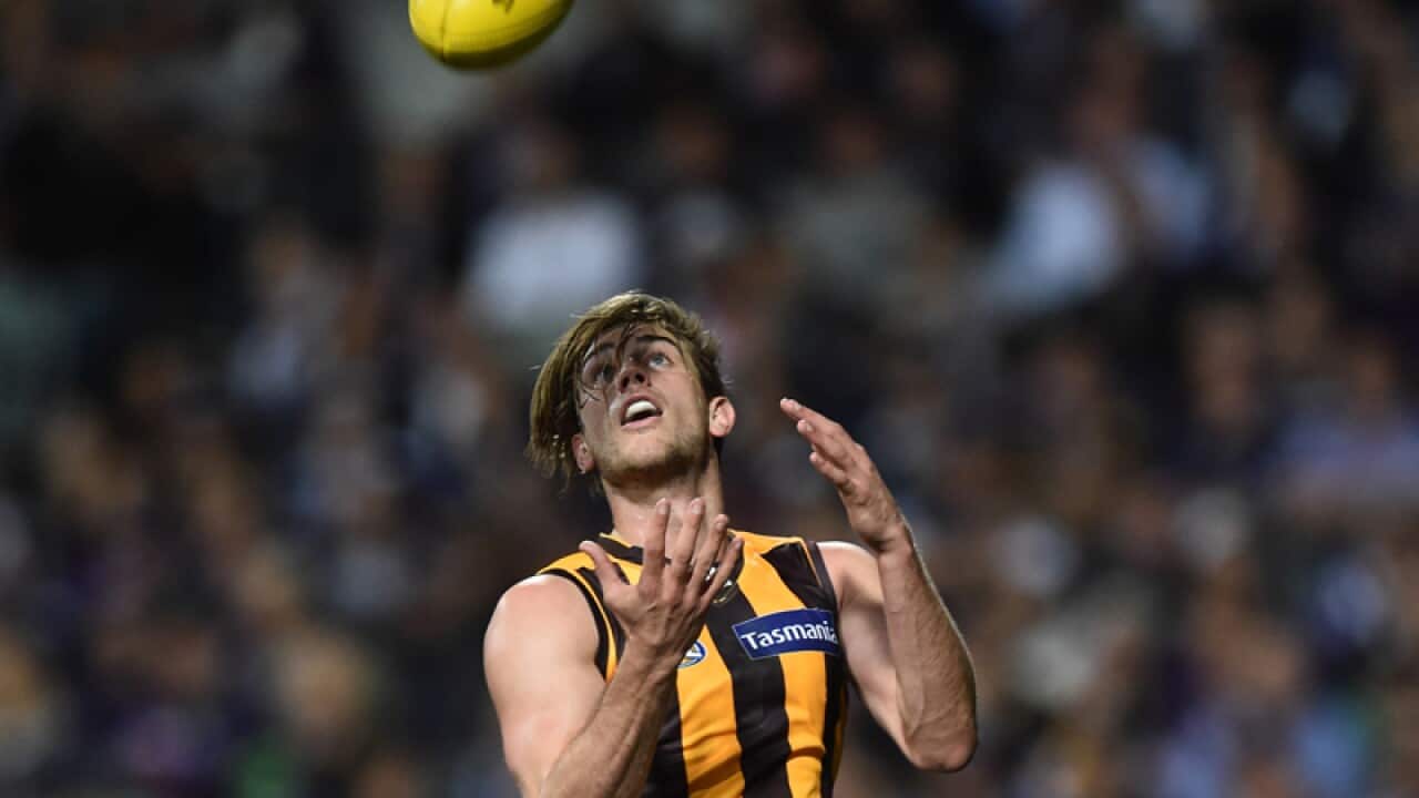 Hawthorn Hawks player Ryan Schoenmakers