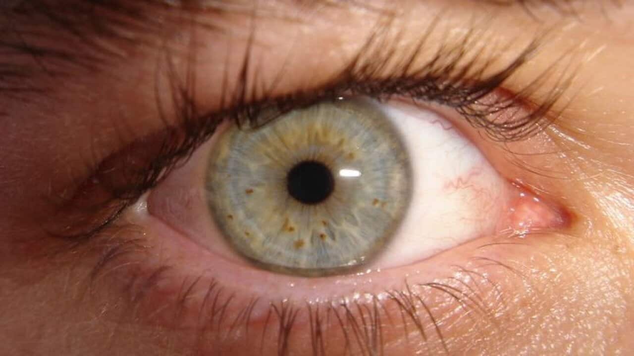 eye