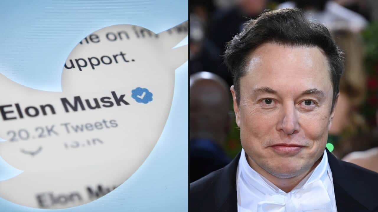 Composite image of Elon Musk and his Twitter account with a blue tick