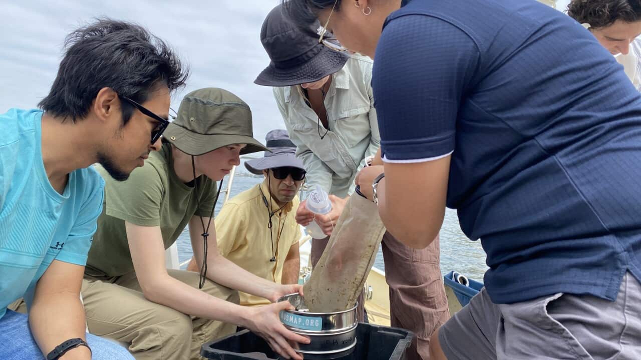 Image for read more article 'READ MORE'