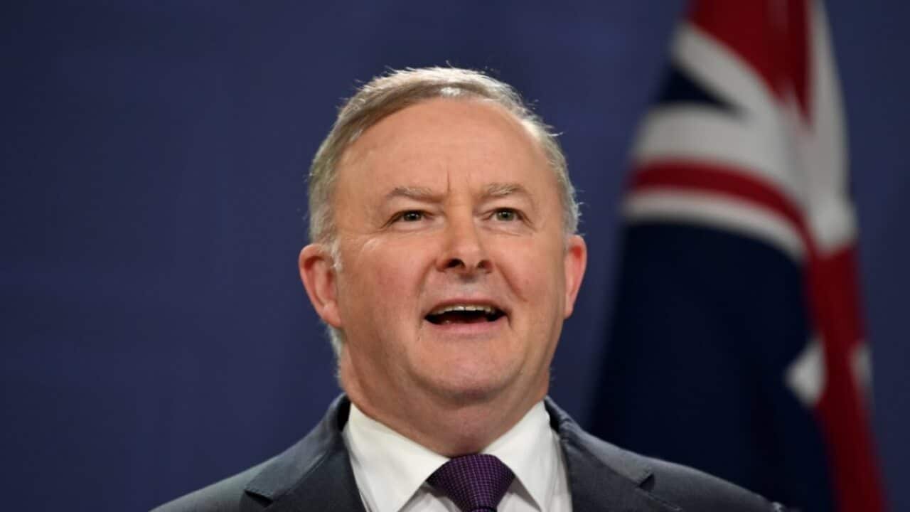 Labor leader Anthony Albanese