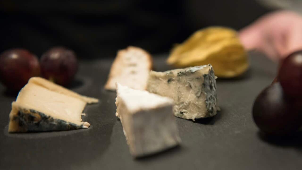 Vegan cheese exists and it’s actually good