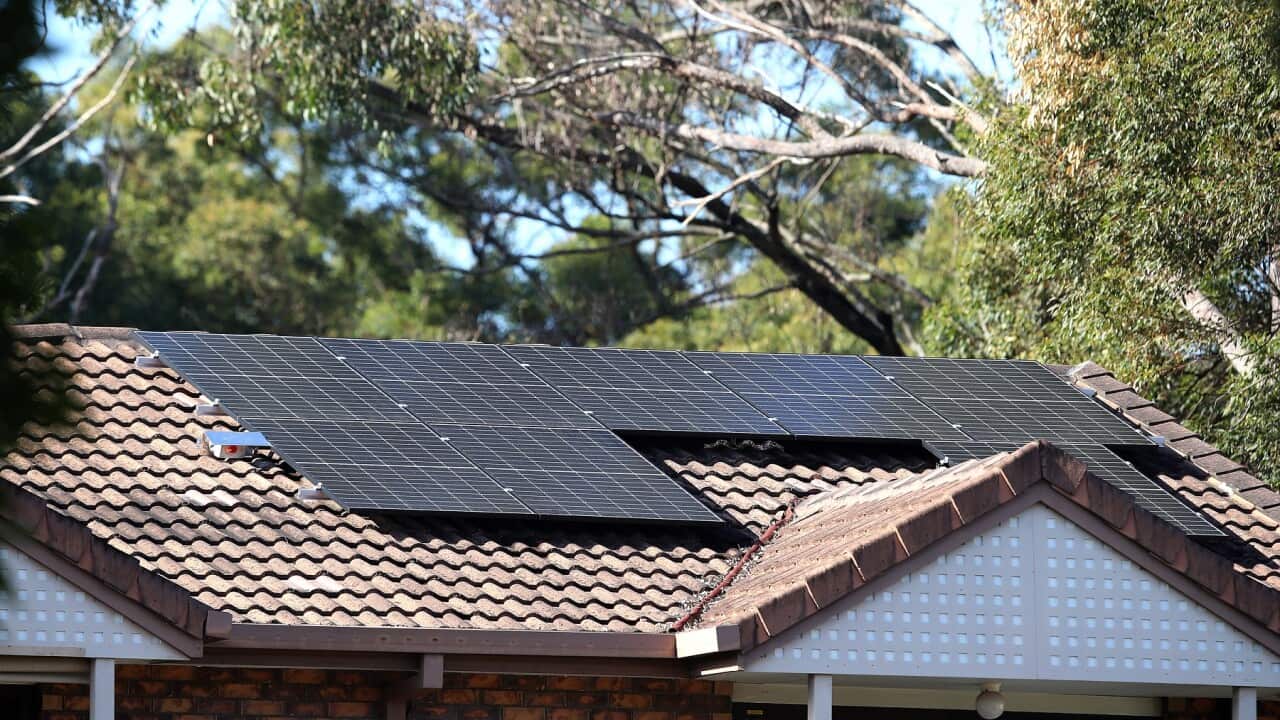 ELECTRICITY STOCK QUEENSLAND