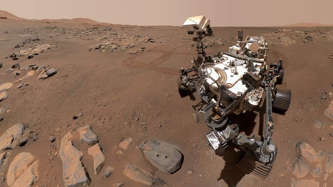 Mars samples