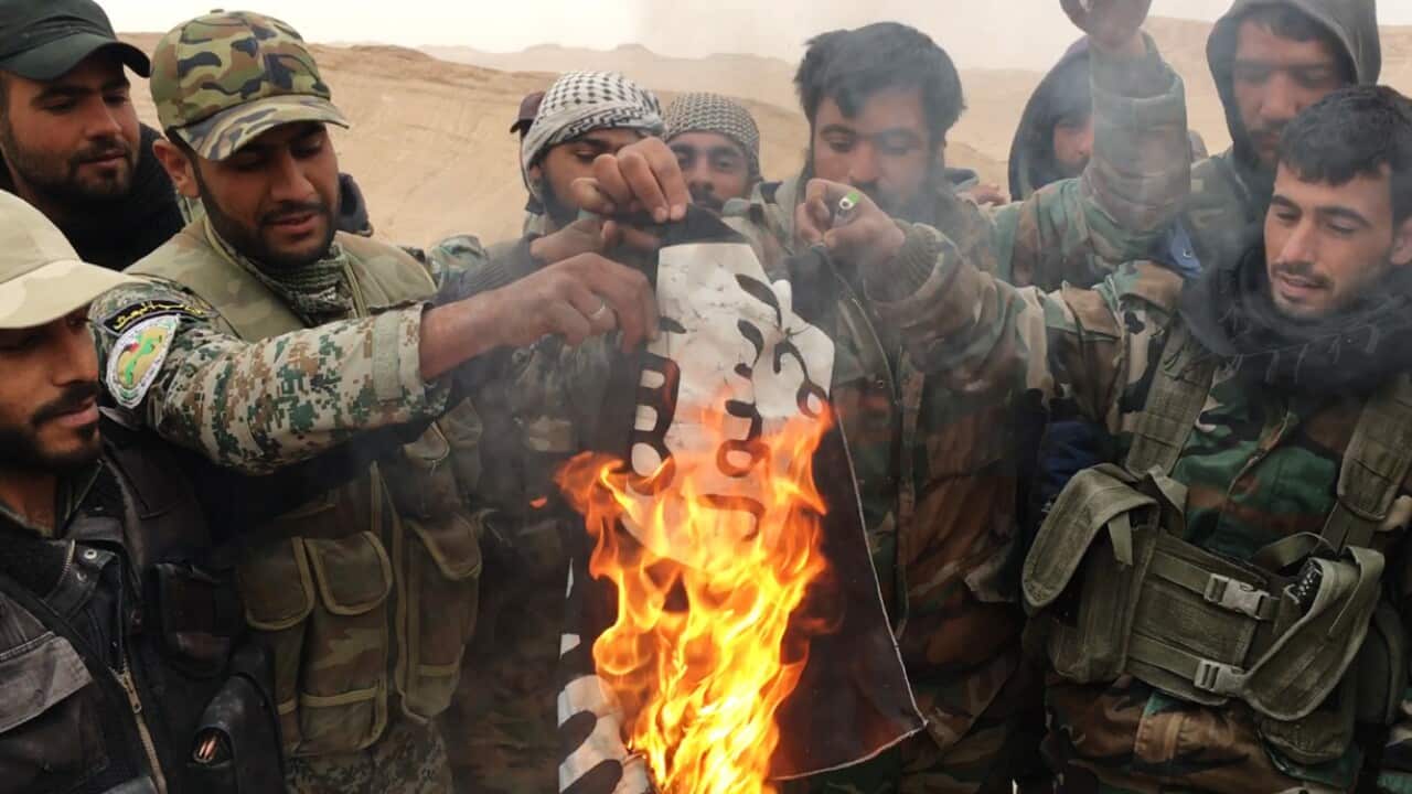 Desert Falcons militia burn the ISIL flag 