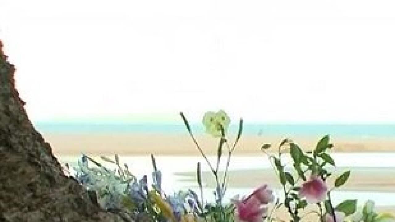 Image for read more article 'READ MORE'