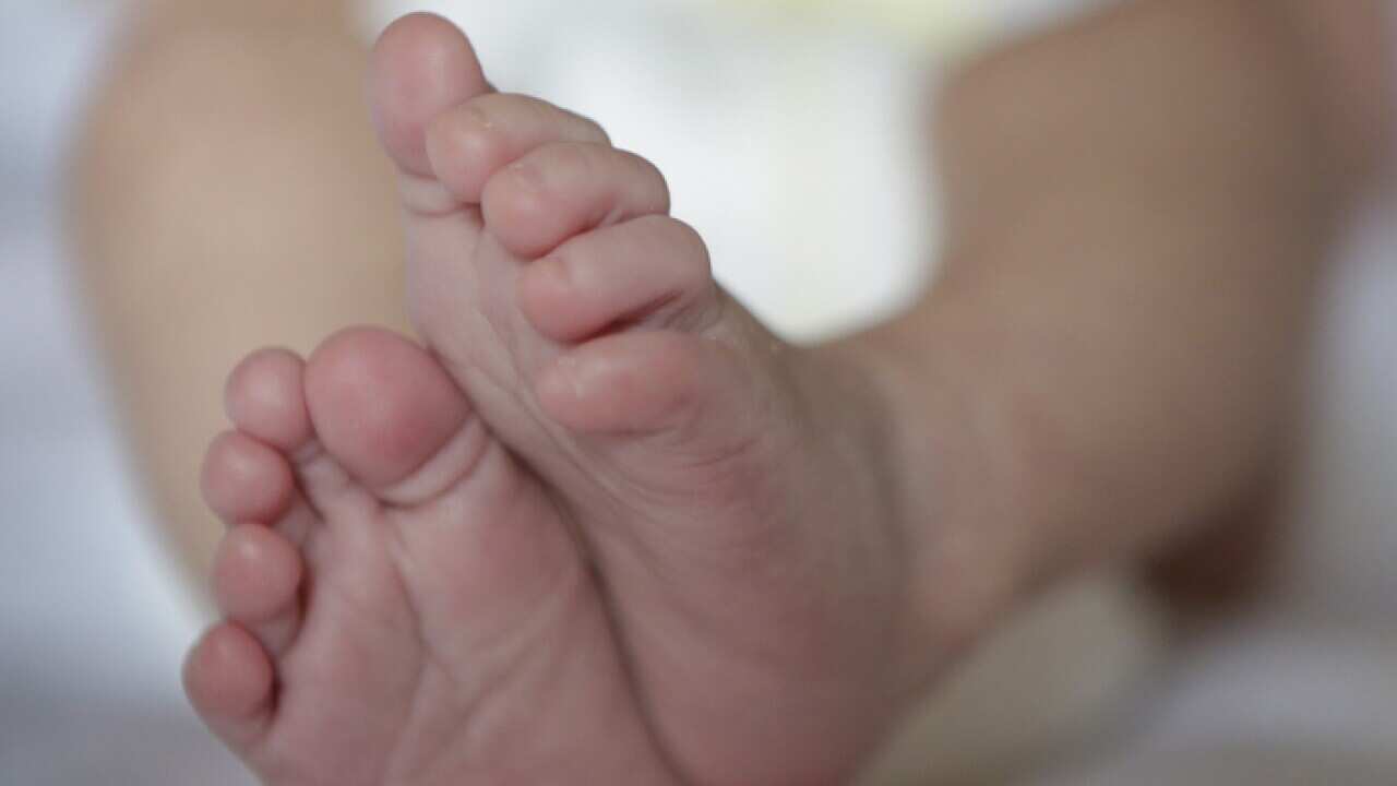 Baby stock
