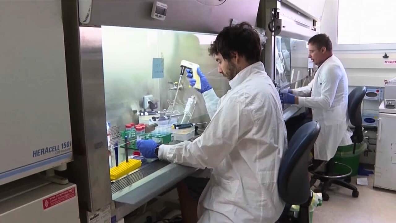 Laboratuvarda kök hücre araştırması üzerinde çalışan bilim adamları (AP).jpg