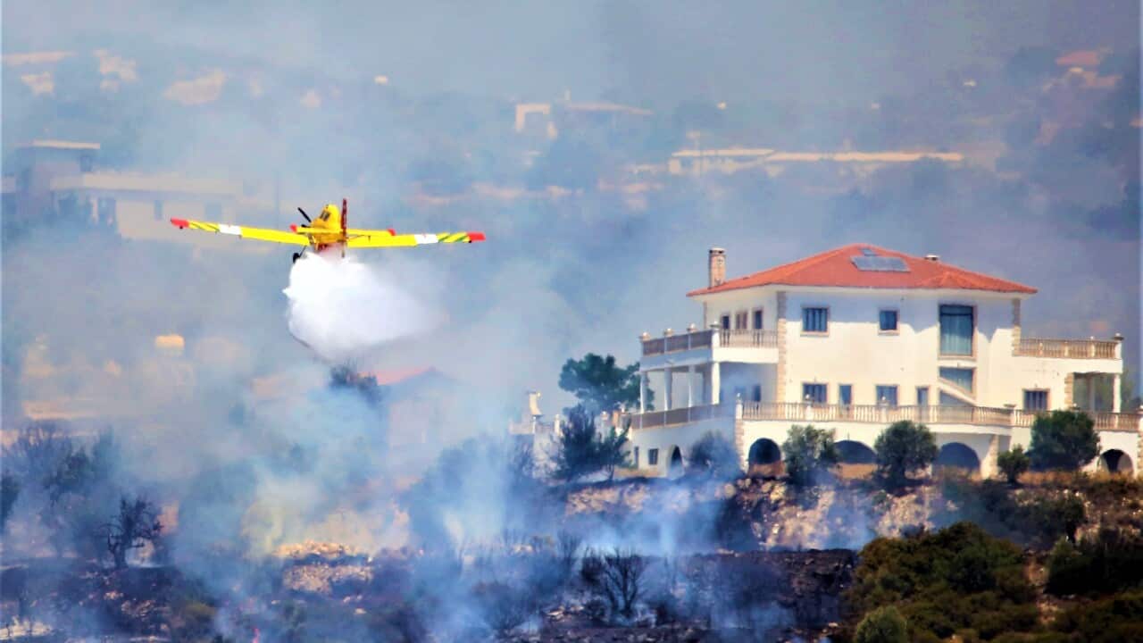 Image for read more article 'READ MORE'