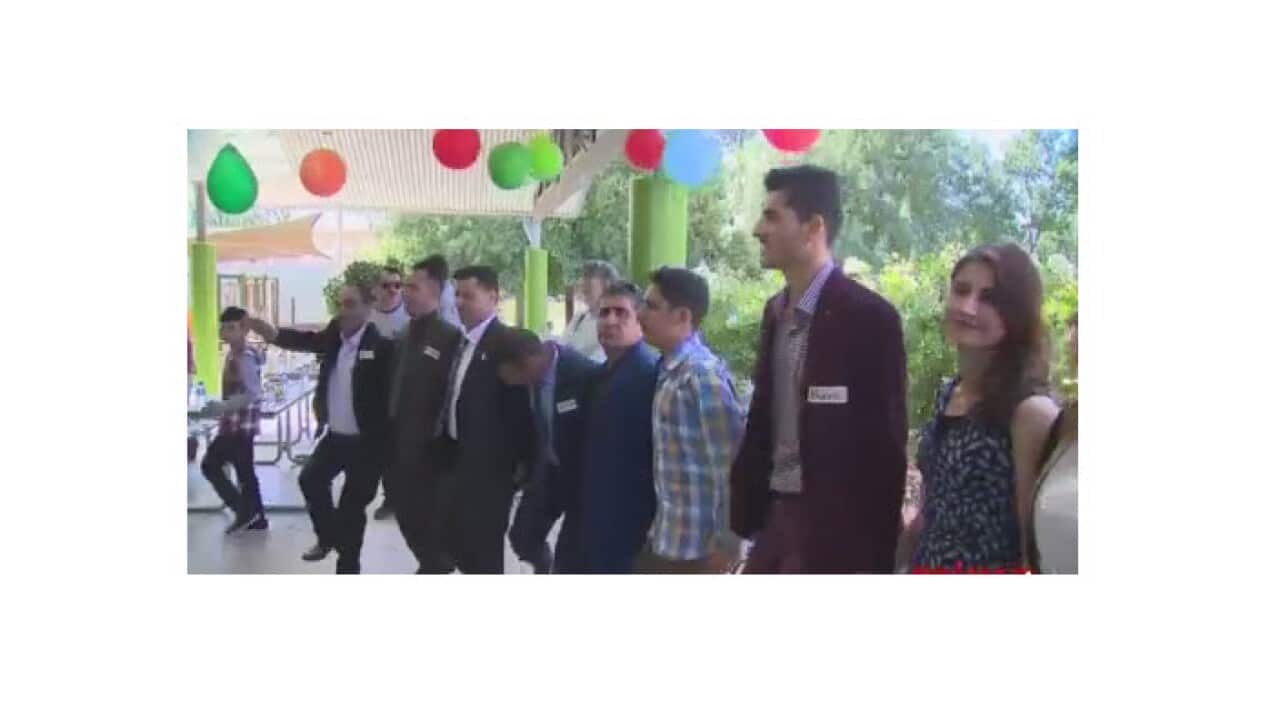 yazidis in Wagga Wagga celebrating new year