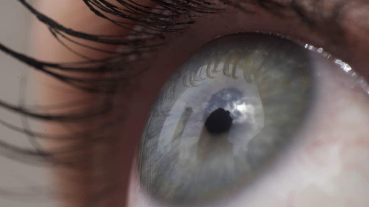 Image for read more article '更多內容'