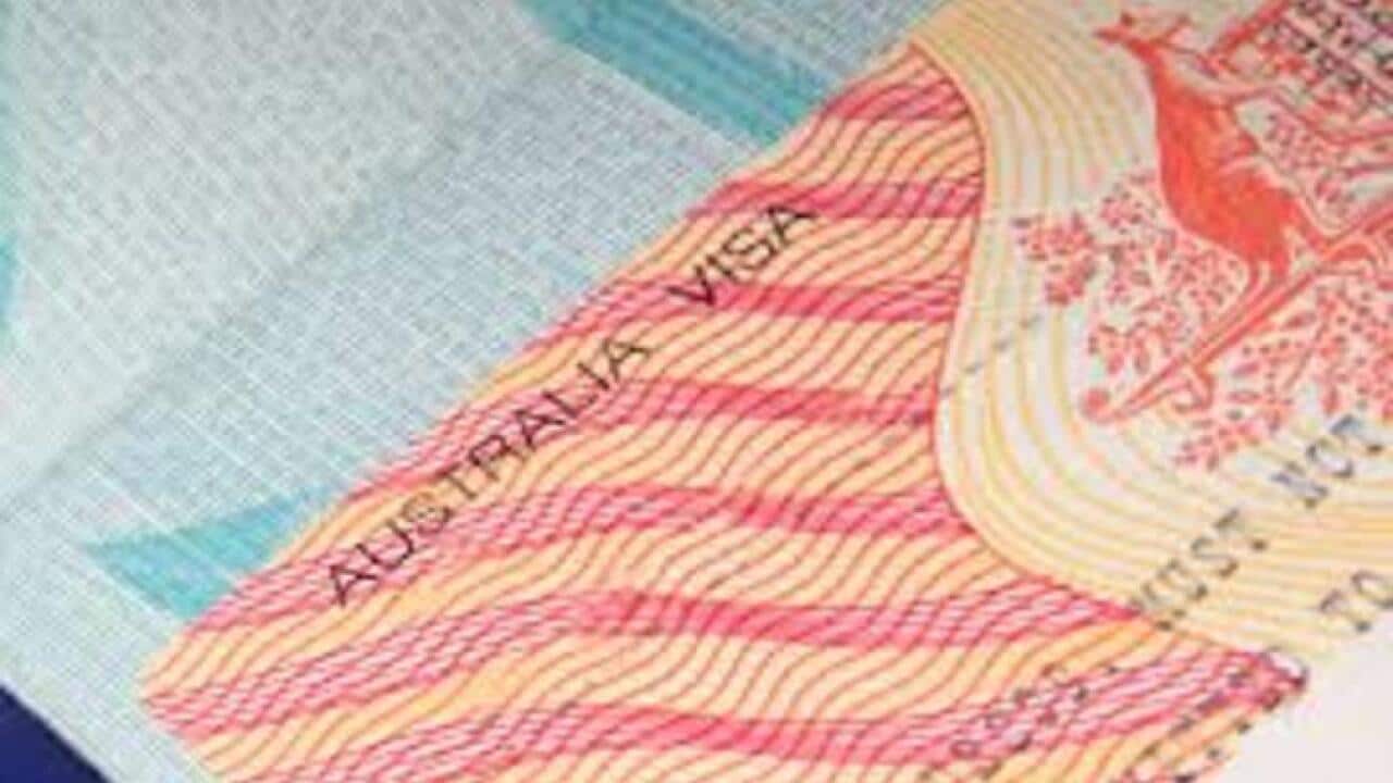 Temporary Activity Visa