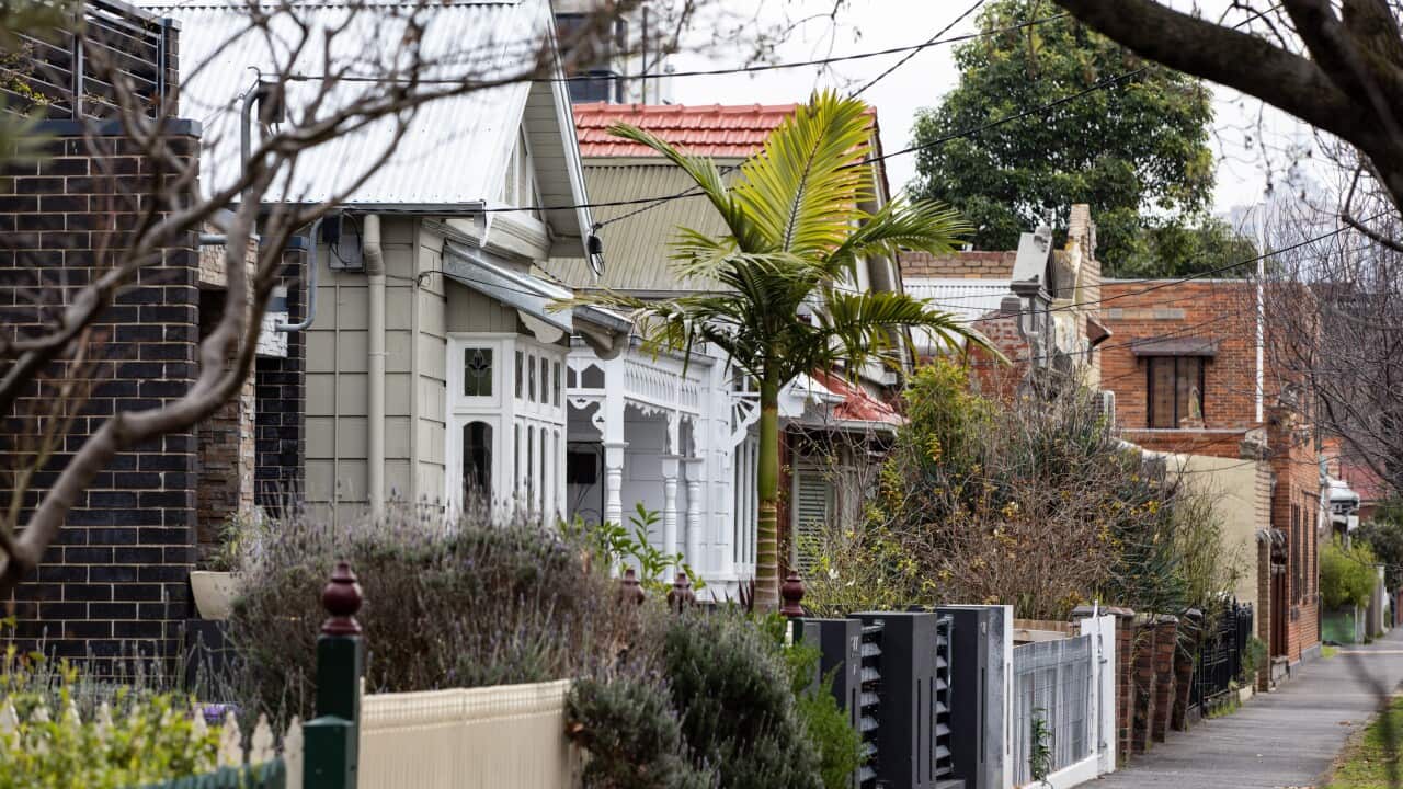 A row of single-story houses on a suburban street.