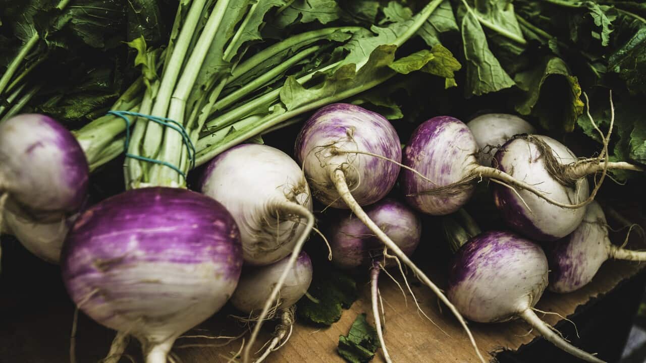 Britons urged to ‘cherish’ turnips amid vegetable shortage Britons urged to ‘cherish’ turnips amid vegetable shortage