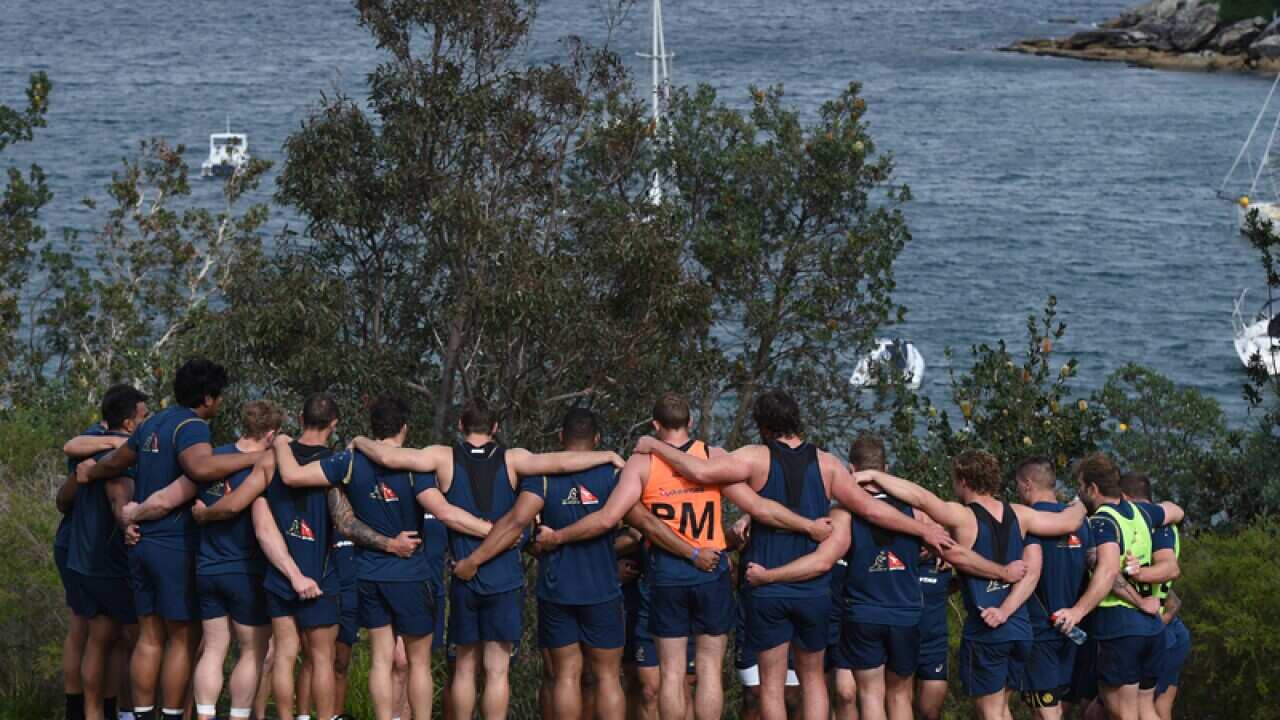 Wallabies players in a huddle