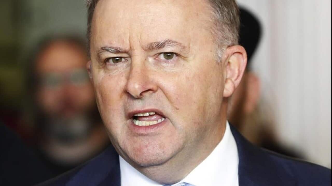 Labor's Anthony Albanese said the government was now openly talking merger plans.