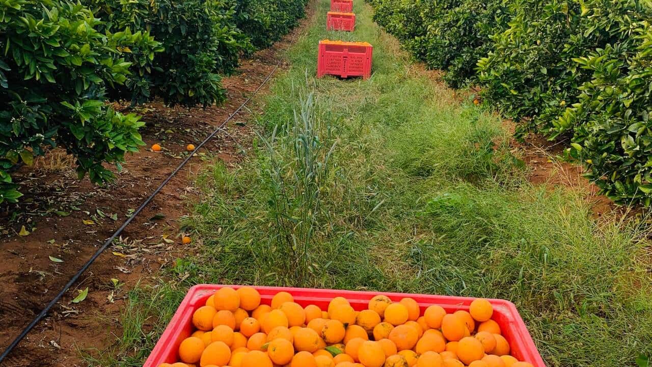 Image for read more article 'READ MORE'