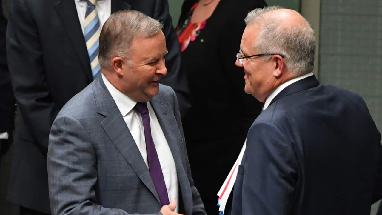 Morrison and Albanese suit up in similar outfits in Eden-Monaro