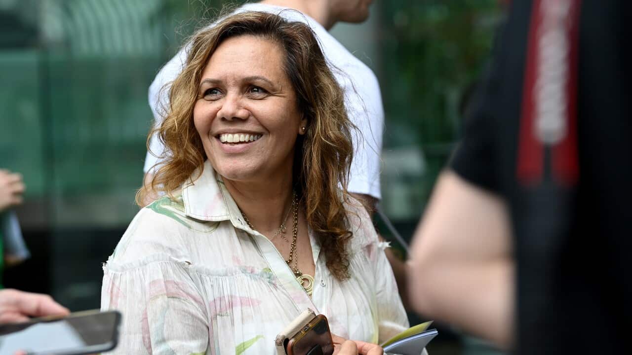 NSW LOCAL GOVERNMENT ELECTIONS