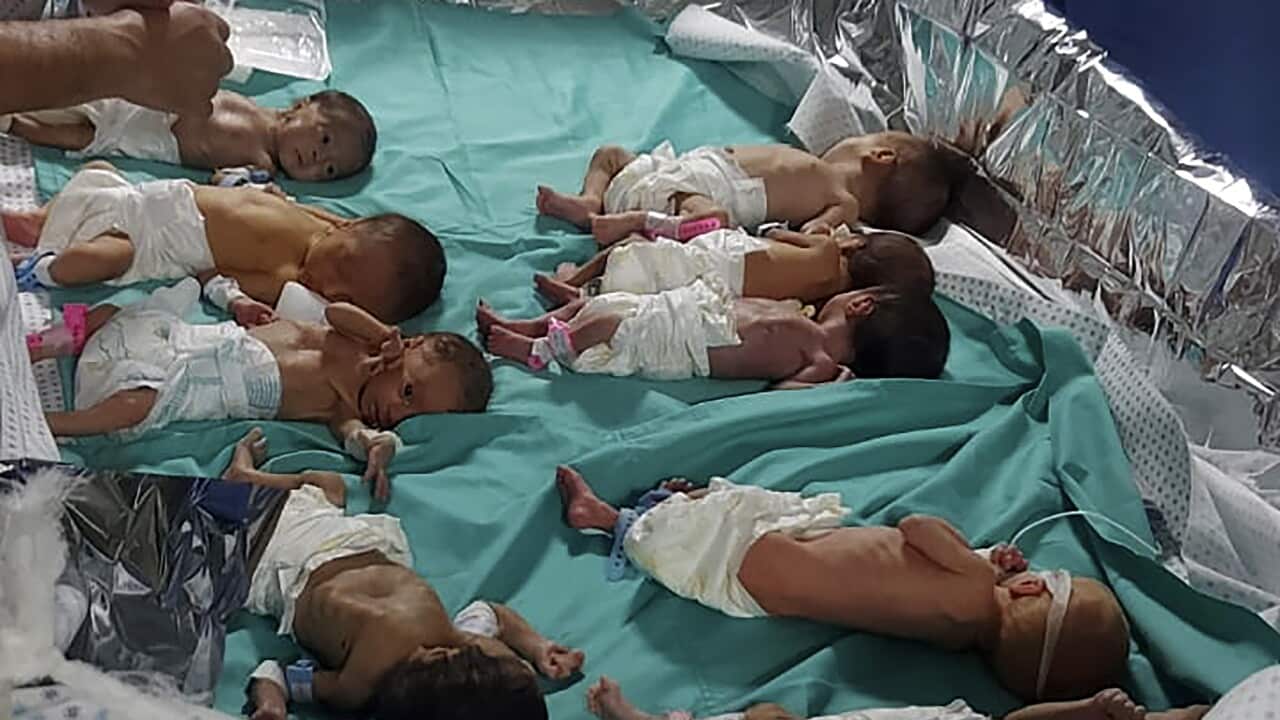 More than 30 premature babies evacuated from Gaza’s al-Shifa hospital, bound for Egypt More than 30 premature babies evacuated from Gaza’s al-Shifa hospital, bound for Egypt