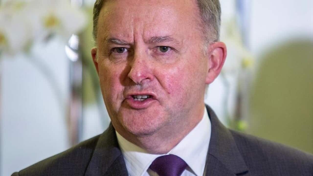 Anthony Albanese: “The fact we have a prime minister who refuses to give a straight answer to a simple question".