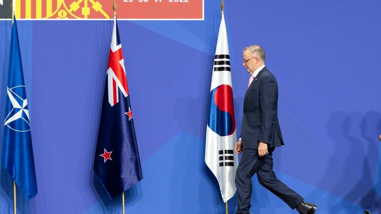 La Semaine Politique : Anthony Albanese en Europe