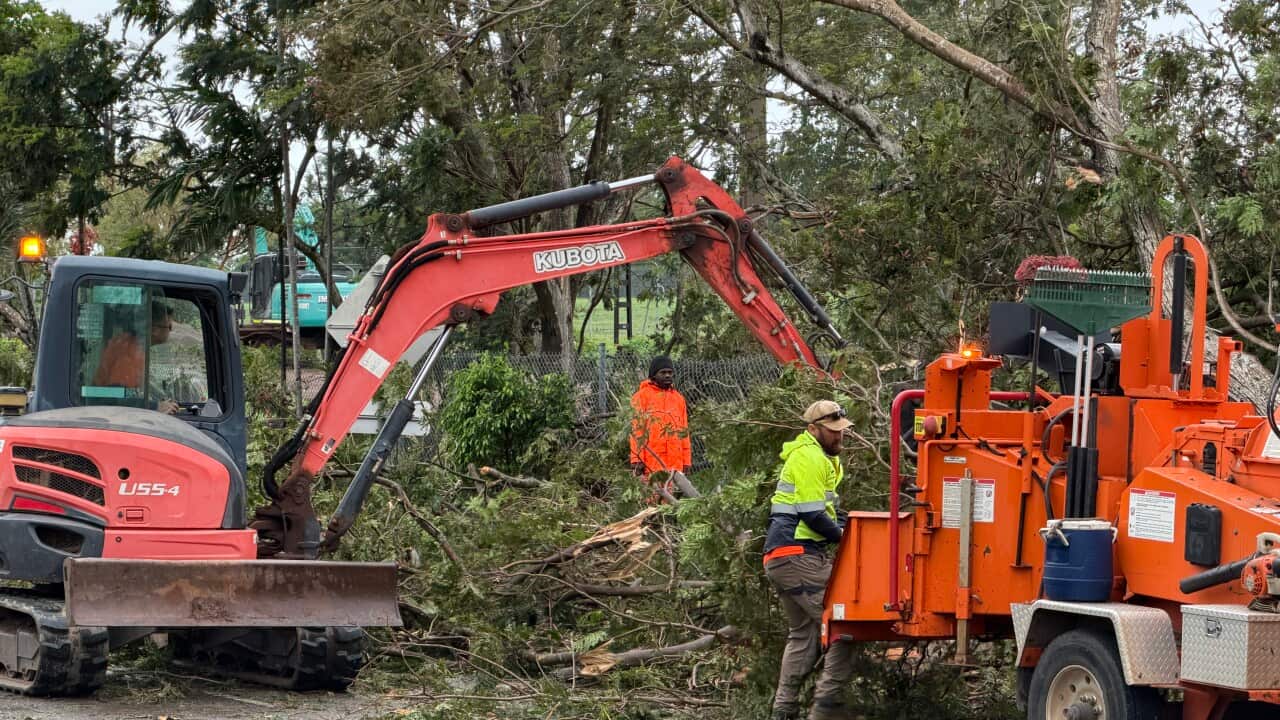 Work crews in Darwin using machinery clean-up trees brought down by Cyclone Fina