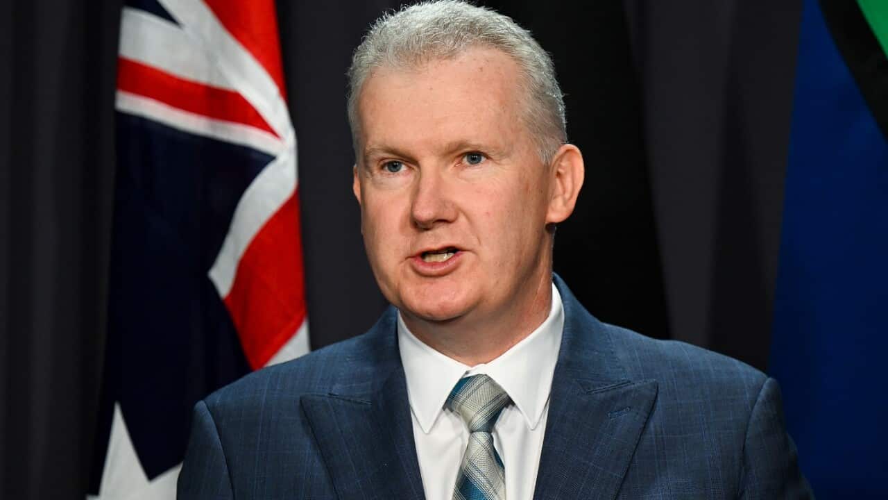 Home Affairs Minister Tony Burke, wearing a suit and tie, is speaking.