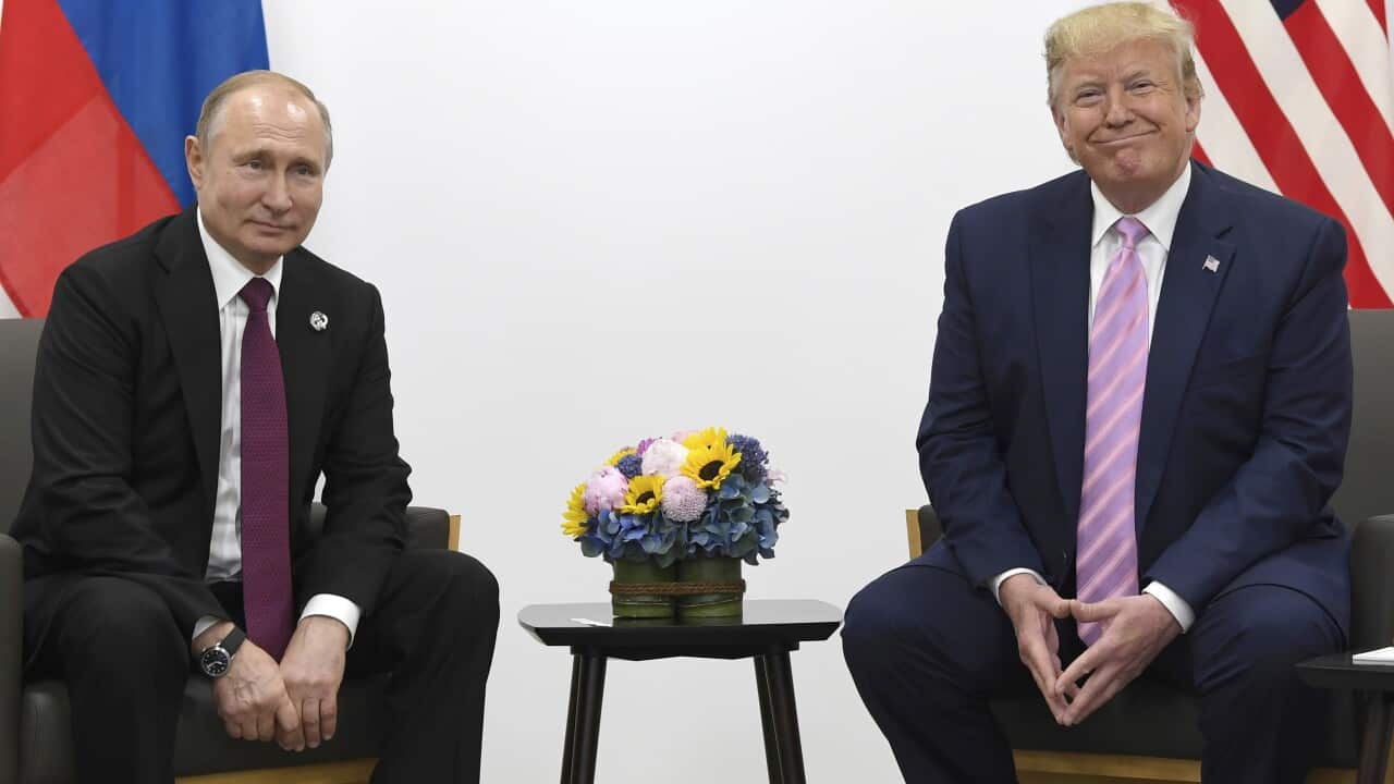 Donald Trump,Vladimir Putin