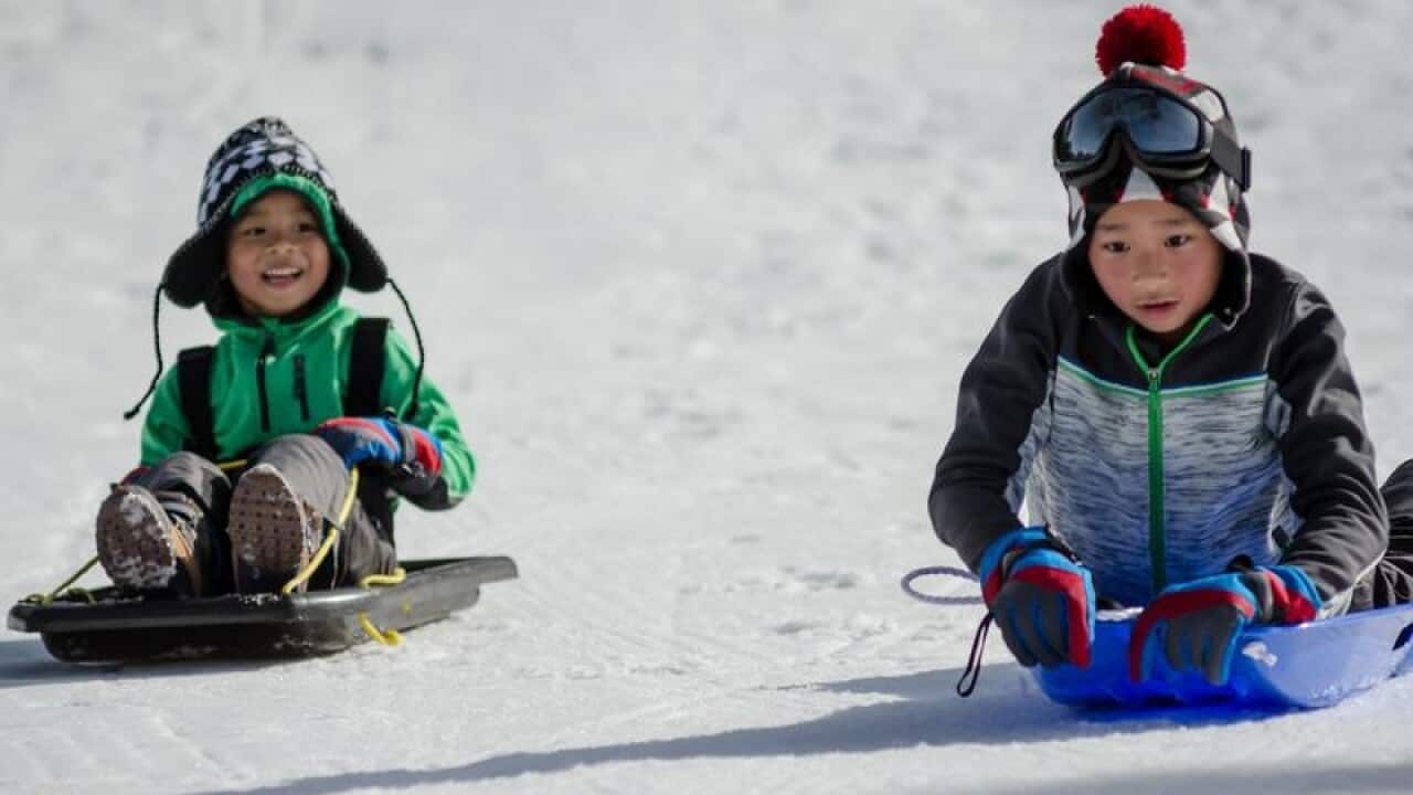 Families with kids have lashed out on social media after Thredbo ski resort banned tobogganing.