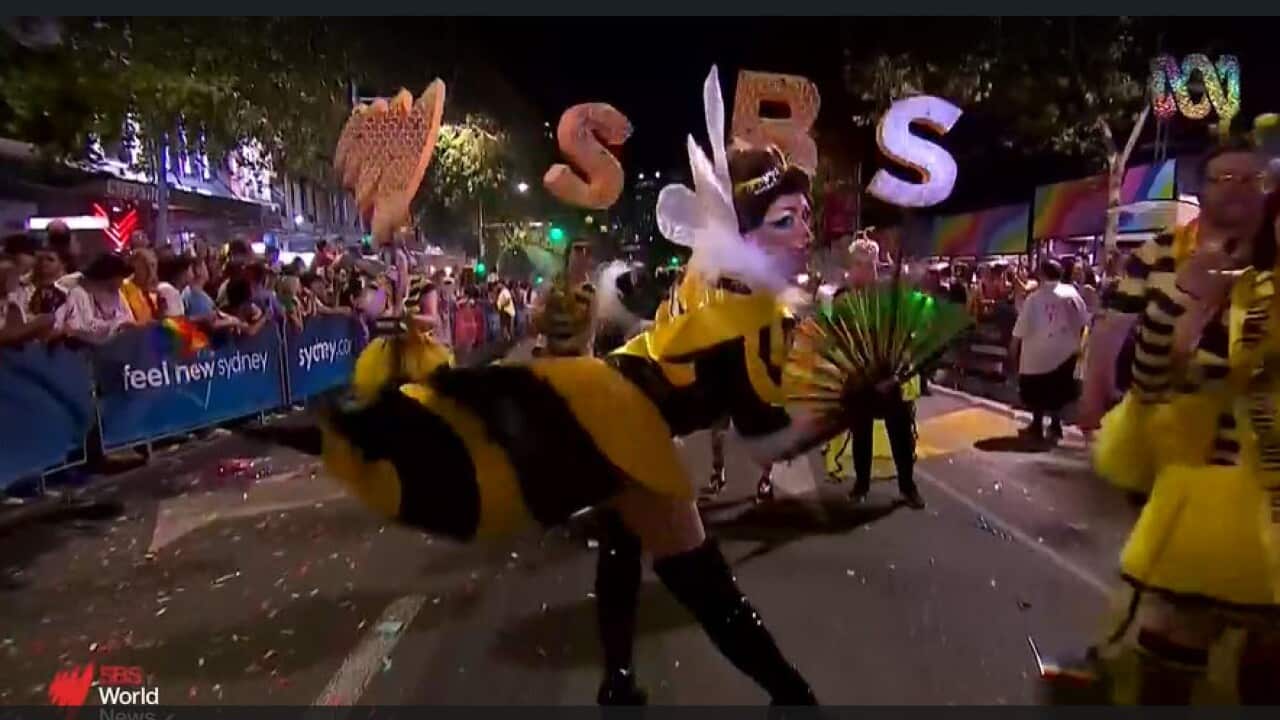 SBS Mardi Gra.jpg