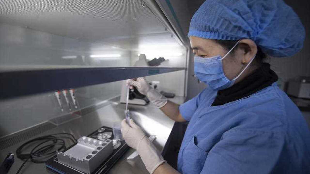 Medical researchers have found new information on why some babies are born with disorders of sex development.