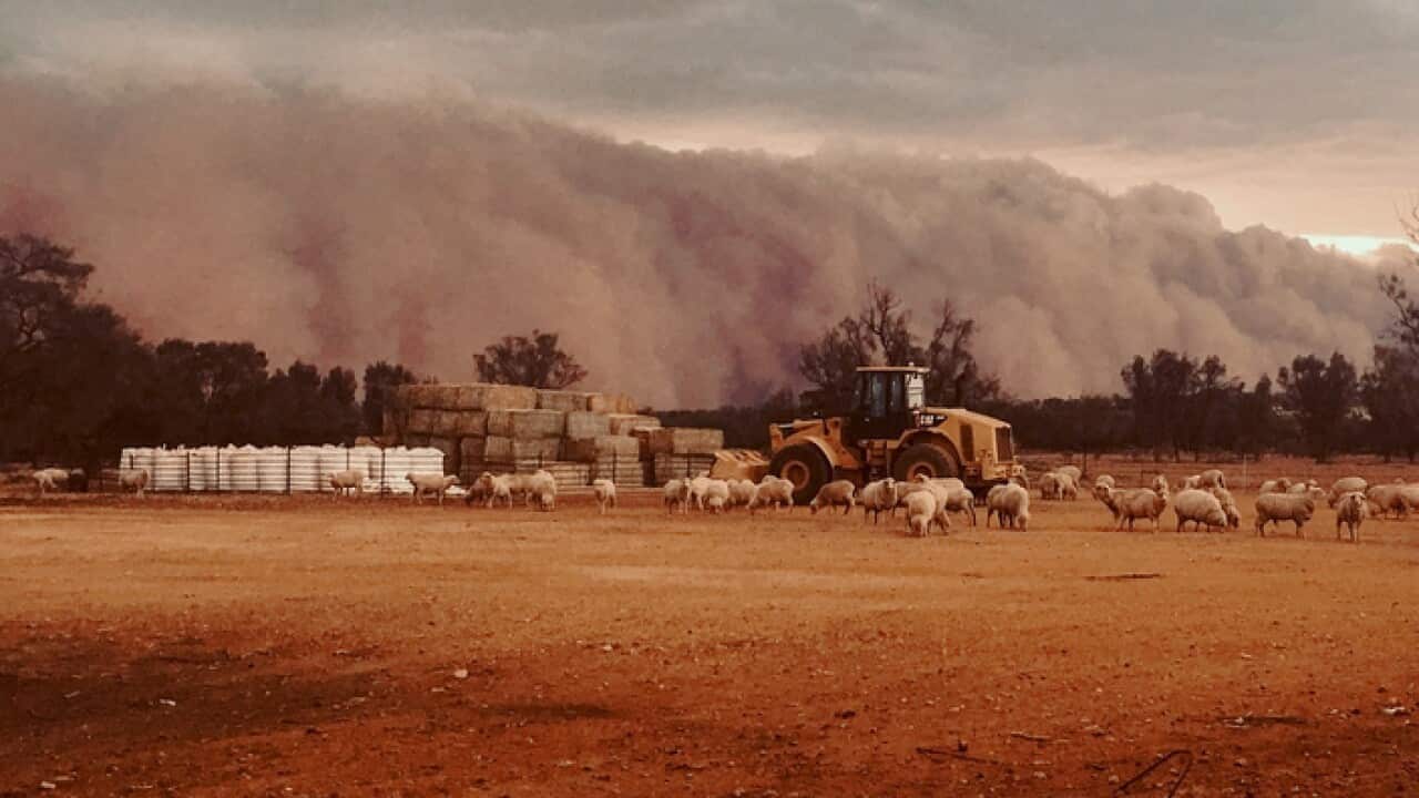 The dust storm which swept across Western NSW