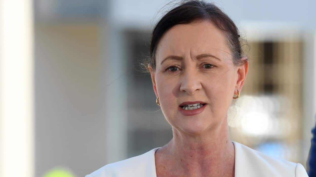 Queensland Health Minister Yvette D'Ath speaks to the media during a visit to Logan Hospital in Brisbane.