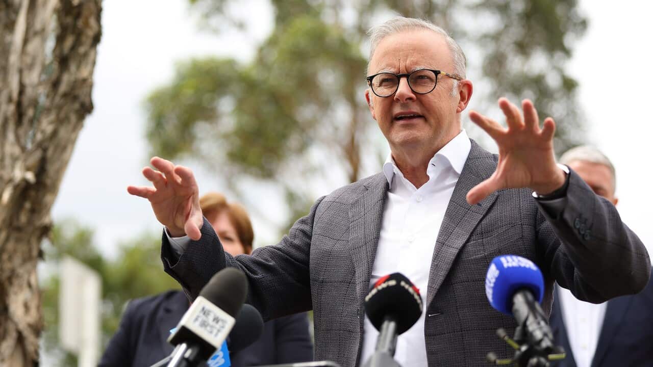 ANTHONY ALBANESE SYDNEY VISIT