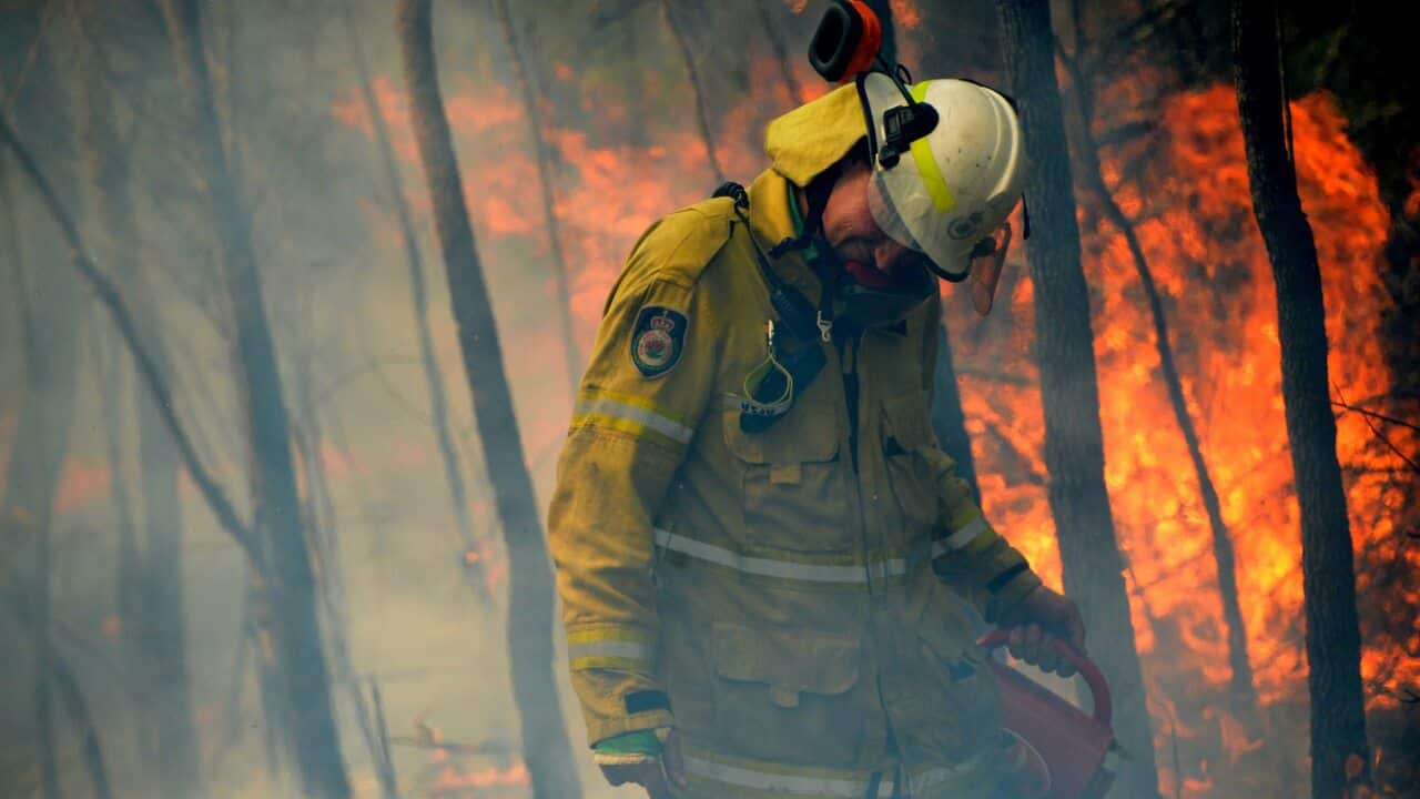 Image for read more article ''