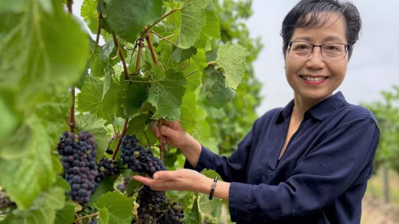 Image for read more article 'READ MORE'