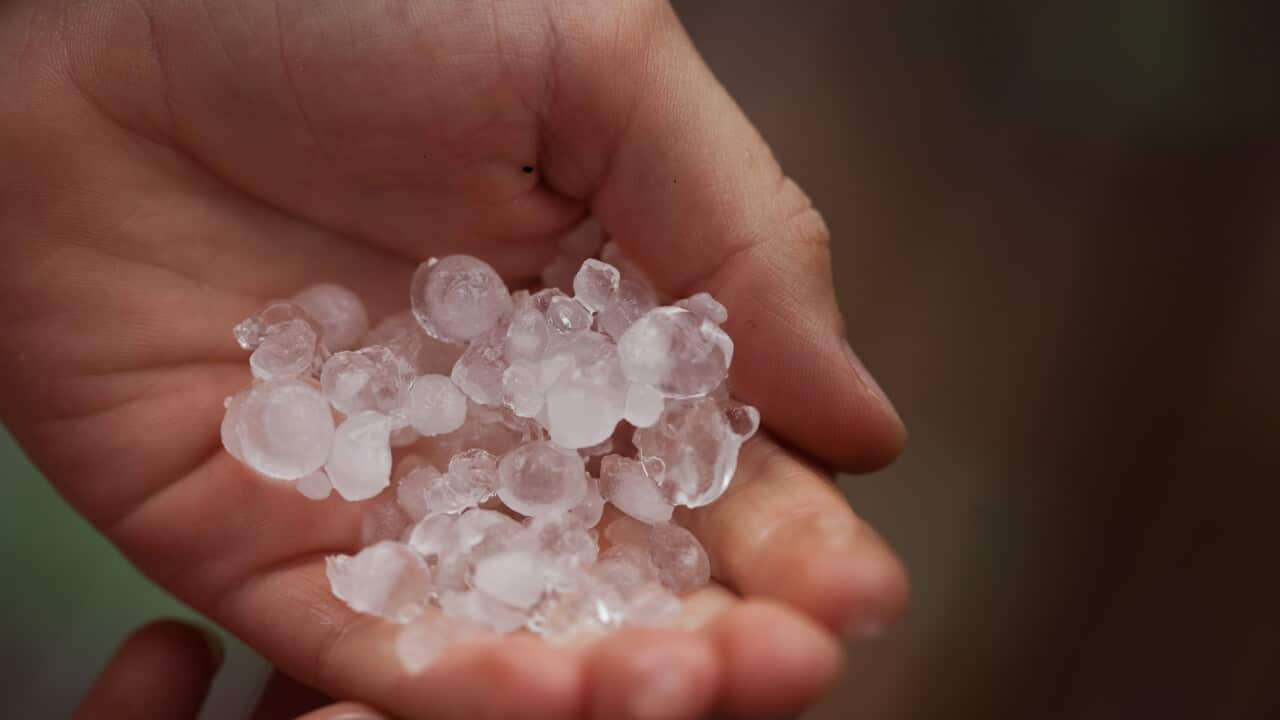 Boy's hand holding hailstones