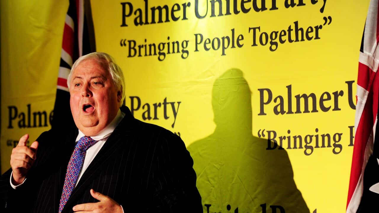 palmer.jpg