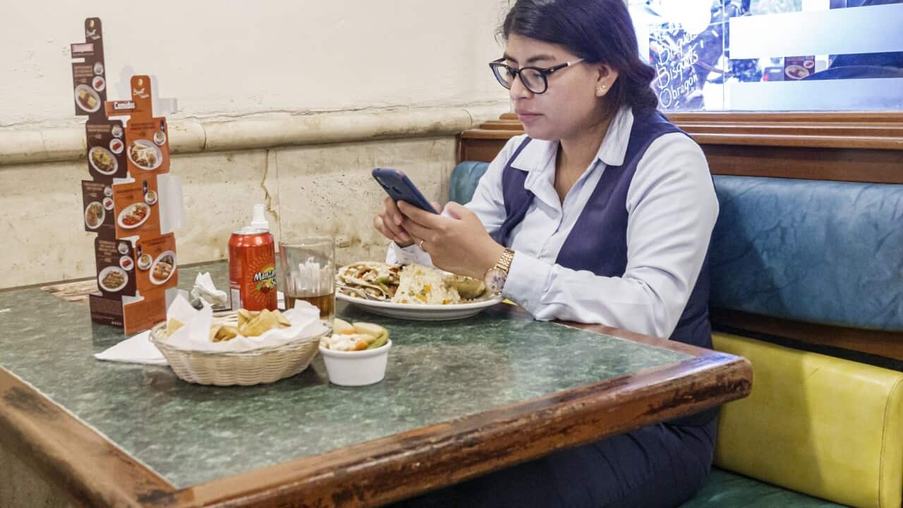 Merida, Mexico, Bisquets Obregon restaurant, woman on smartphone, reading texting