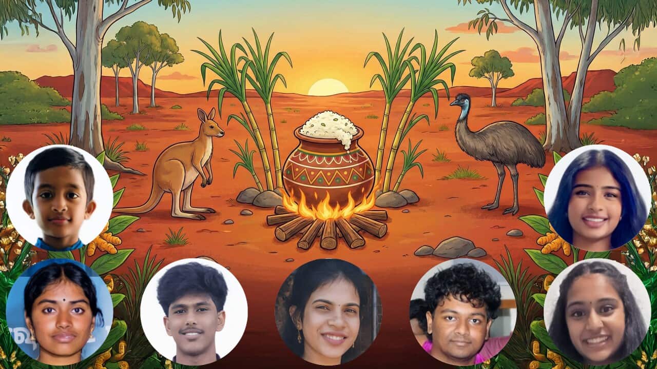 Thai Pongal, Down Under: Traditions through young eyes - [Clockwise from Top Right] Majerin Pieris, Kaaviya Soma Sundaram, Dilanthan Thusyanthan, Akanila Satheeskumar, Sukirthan Saravanakumar, Kaviha Gananathan, and Nattavan Nirmanusan