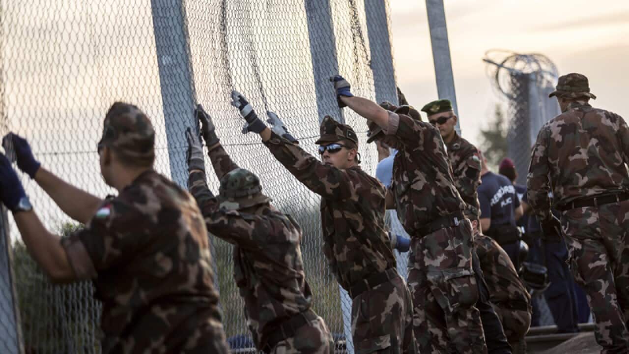 Hungarian soldiers closing the border line between Serbia and Hungary